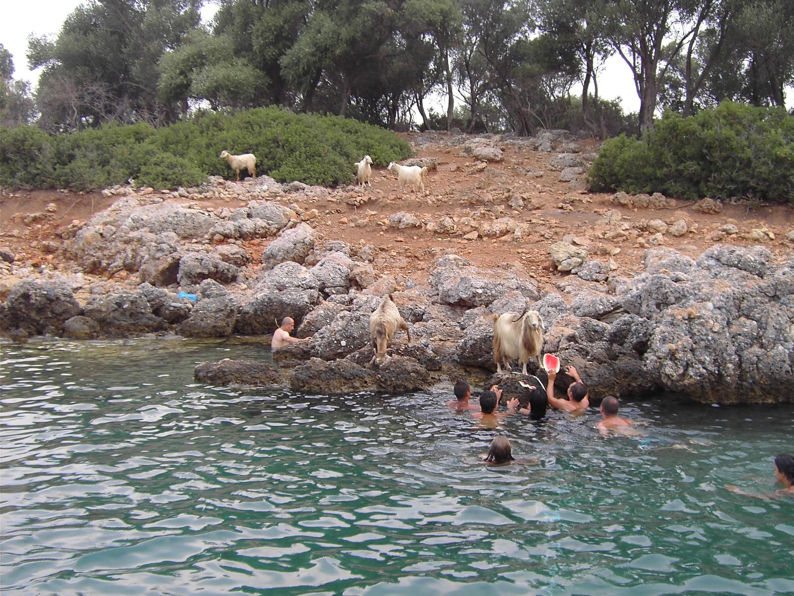 Kleopatra Adası Tekne Turu